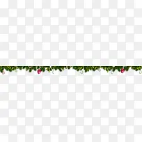 ʥ����Χ��֦װ��-������