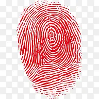 指纹-空若网 指纹-空若网