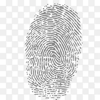 卡通指纹-空若网 卡通指纹-空若网