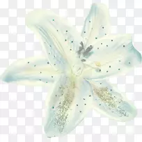 花花瓣博客-空若网 花花瓣博客-空若网