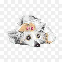 白色手绘狗狗-空若网 白色手绘狗狗-空若网