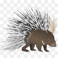 野生动物矢量图-空若网 野生动物矢量图-空若网