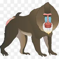 野生动物矢量图-空若网 野生动物矢量图-空若网