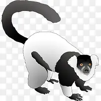 Ұ������ʸ��ͼ-������