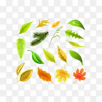 ����ֻ�Ҷ��-������