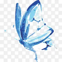 蝴蝶-空若网 蝴蝶-空若网