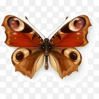 ����ʸ��Ч��ͼ-������