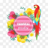 手绘花鸟下载-空若网 手绘花鸟下载-空若网