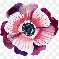 手绘水彩花朵-空若网 手绘水彩花朵-空若网