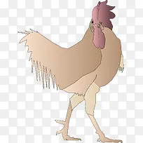 动物鸡 矢量AI-空若网 动物鸡 矢量AI-空若网