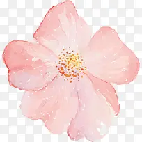 手绘花朵-空若网 手绘花朵-空若网