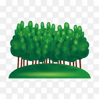 ��ɫ��-������