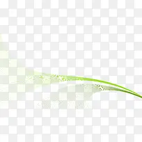 绿色线条花纹-空若网 绿色线条花纹-空若网