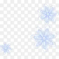 ��ɫ����Ư��-������