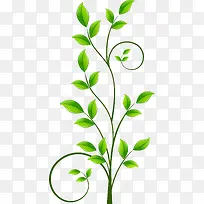 ��Ҷ����-������