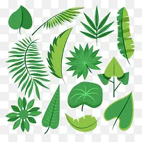 绿色叶子下载-空若网 绿色叶子下载-空若网