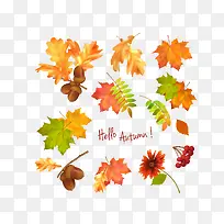 秋天的落叶下载-空若网 秋天的落叶下载-空若网