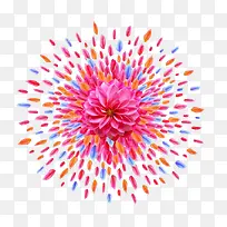 彩色花瓣拼成烟花形状-空若网 彩色花瓣拼成烟花形状-空若网