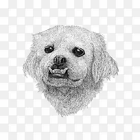手绘狗-空若网 手绘狗-空若网