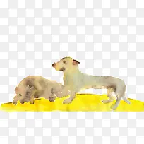 水彩手绘狗狗-空若网 水彩手绘狗狗-空若网