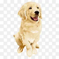 动物插画-空若网 动物插画-空若网