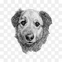 �ֻ�廭��-������