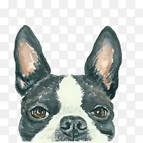 水彩狗狗-空若网 水彩狗狗-空若网