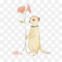 �ֻ�С�������ز�-������