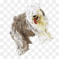 水彩手绘狗狗-空若网 水彩手绘狗狗-空若网