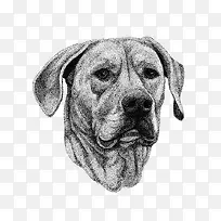 手绘狗-空若网 手绘狗-空若网