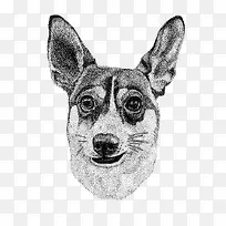 手绘狗-空若网 手绘狗-空若网