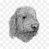 手绘狗-空若网 手绘狗-空若网