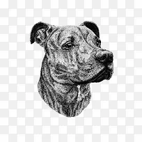 �ֻ湷-������