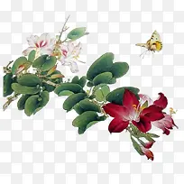 涂鸦插画花植物蝴蝶-空若网 涂鸦插画花植物蝴蝶-空若网