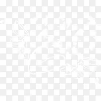 ����Ϳѻ-������