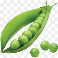 蔬菜豆类豌豆-空若网 蔬菜豆类豌豆-空若网