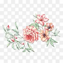 卡通手绘粉色鲜花-空若网 卡通手绘粉色鲜花-空若网