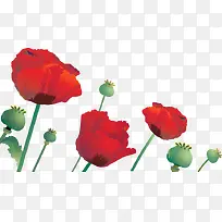 卡通手绘粉色小花-空若网 卡通手绘粉色小花-空若网