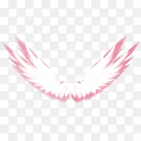 翅膀-空若网 翅膀-空若网