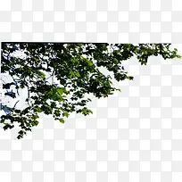 ������յ�����Ӱ-������