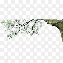 创意高清大树天空摄影-空若网 创意高清大树天空摄影-空若网