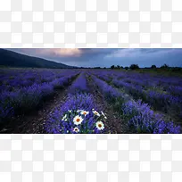 Þ¹Ò²ÝÌì¿Õ±³¾°-¿ÕÈôÍø Þ¹Ò²ÝÌì¿Õ±³¾°-¿ÕÈôÍø