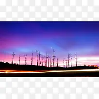 ×ÏÀ¶É«Ìì¿ÕϵĿÝÊ÷Ö¦-¿ÕÈôÍø ×ÏÀ¶É«Ìì¿ÕϵĿÝÊ÷Ö¦-¿ÕÈôÍø