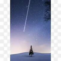 蓝天天空白色星光树枝-空若网 蓝天天空白色星光树枝-空若网