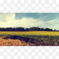 ��ɫ��ջ�ɫ�ݵظ�����Ӱ-������