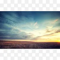 ��ɫ��ջ�ɫ��Ч�ݵ���Ӱ-������