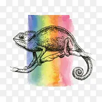 水彩变色龙-空若网 水彩变色龙-空若网