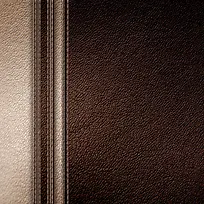 Ƥ����Ʊ���-������