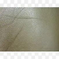 ��ɫƤ�ʱ���-������