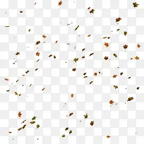 树叶漂浮-空若网 树叶漂浮-空若网